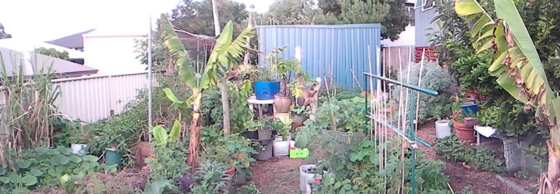 2aa12-img_20170425_154220