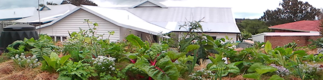 cropped-tillellan-petit-paradis-new-garden.png