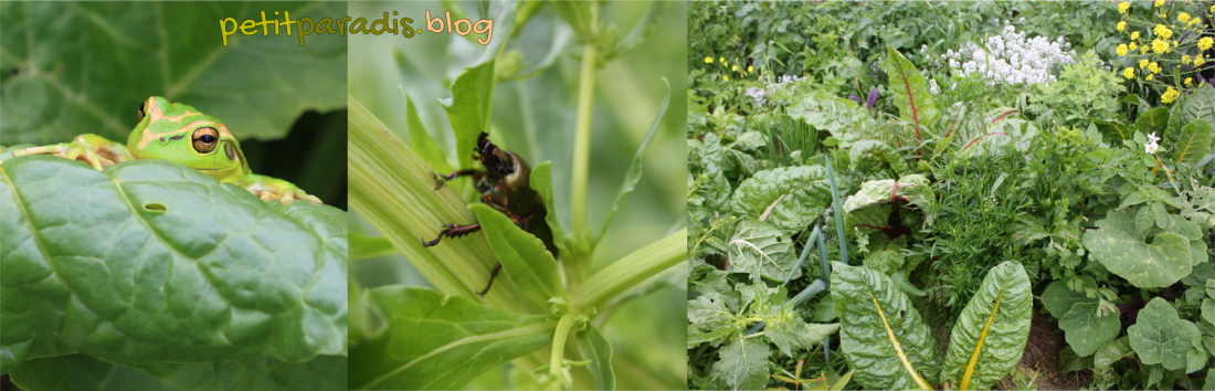 greenpetitparadis2