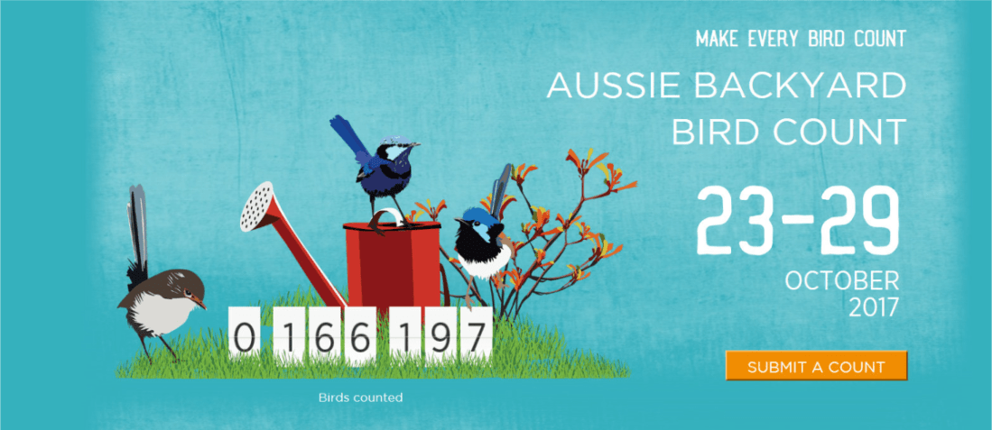 petitparadisgreataussiebirdcount