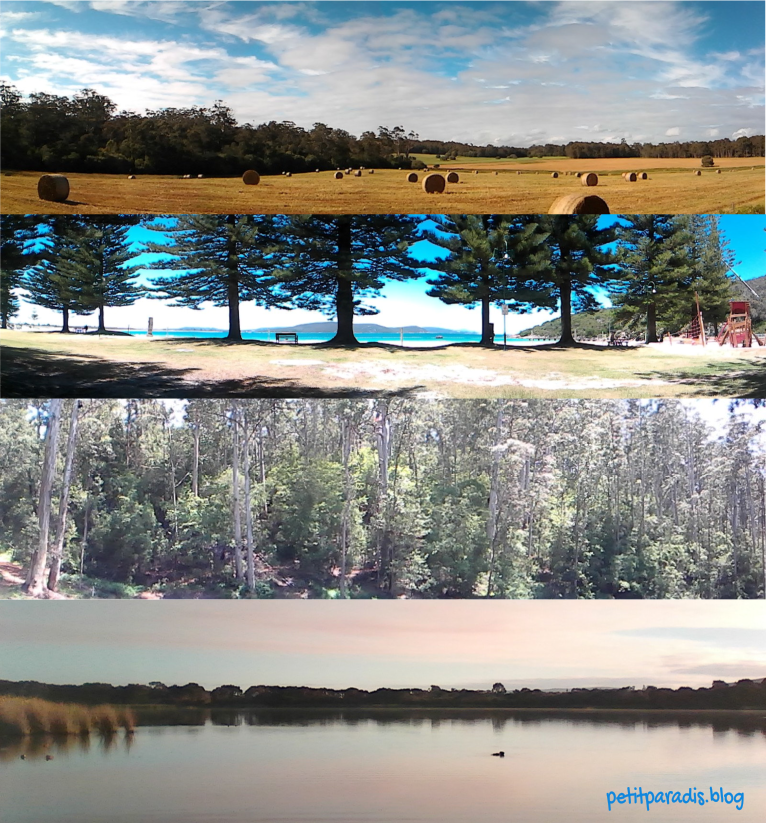 petitparadis backyard