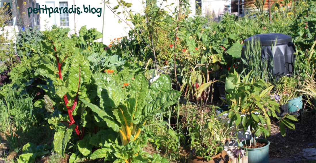 petitparadis garden bed