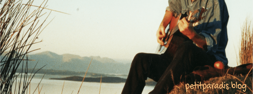 petitparadis guitar