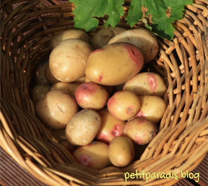 petitparadis potatoes