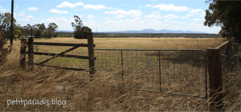 petitparadisporongorups