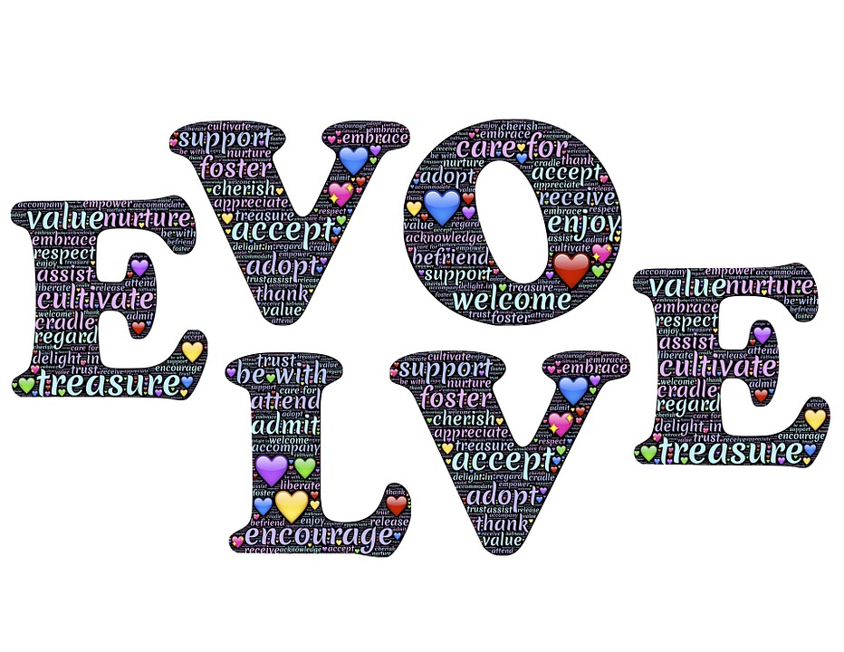 evolve-618237_960_720