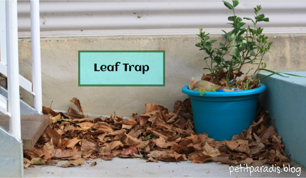 petit paradis leaf trap