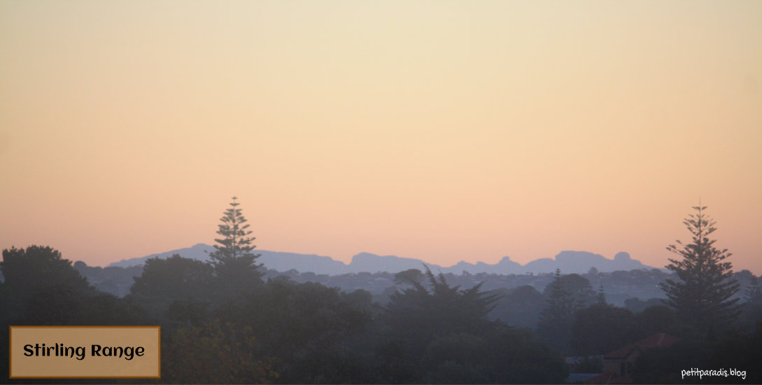 stirling range petit paradis