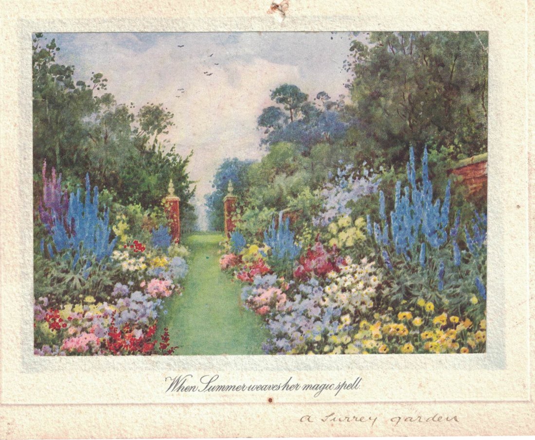 summer garden Flora Pilkington