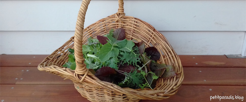 salad basket