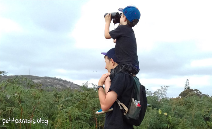 birding pp
