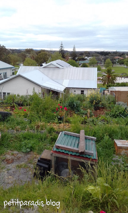 petitparadis spring 2018