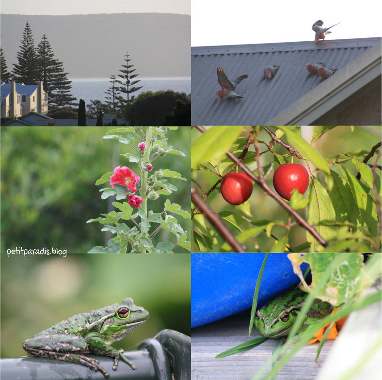 spring day nov pp.png