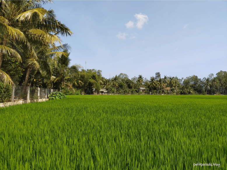 little paradise vietnam pp